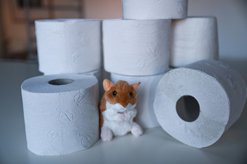 Hamsterkäufe mit Toilettenpapier