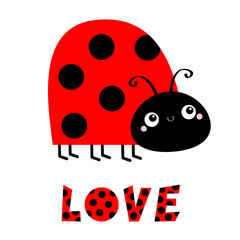 Lady bug ladybird insect icon. Side view. Cute cartoon kawaii funny baby character. Big eyes. Red black color dot. Word Love. Happy Valentines Day. Flat design. White background.