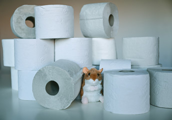 Hamsterkäufe mit Toilettenpapier
