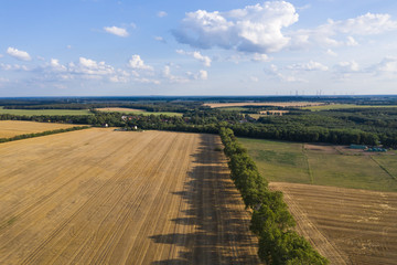 Fototapeta na wymiar Brandenburger Landschaft im Sommer von oben