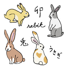 いろんな種類のうさぎ