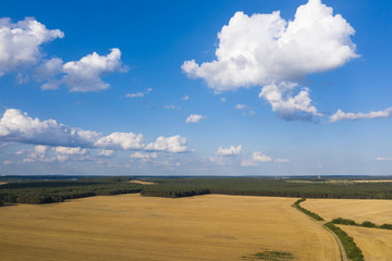 Brandenburger Landschaft von oben im Sommer