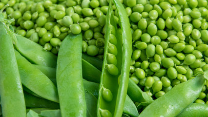 les petits pois bio du jardin