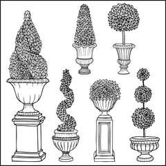 Topiary tree antique vase garden