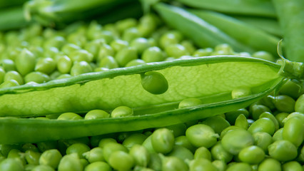 petit pois frais du jardin