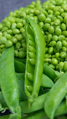 Petit pois frais