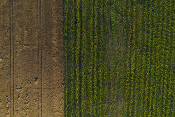 Flächen von oben, abstrakte Landschaft