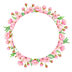 Watercolor frame of cherry blossoms. Hand-drawn illustration of flowers, leaves, and cherry branches on a white background. For invitations, postcards.