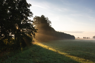 Fototapeta premium Brandenburg, Landschaft im Sommer, Drohnenaufnahmen