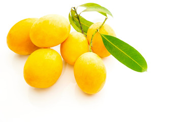 marian plum on a white background