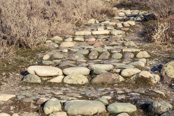 The texture stone. Natural background. Stone on a background of nature