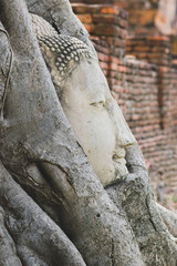 Fototapeta na wymiar Buddha head in tree roots at Wat Mahathat temple