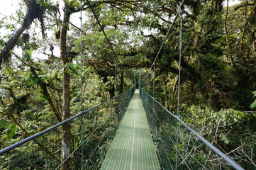 Costa Rica Monetverde - cloud forest