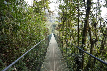 Fototapeta na wymiar Costa Rica Monteverde