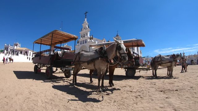 Horse carriage in front of El Rocio church. HUELVA, ANDALUSIA, SPAIN. 