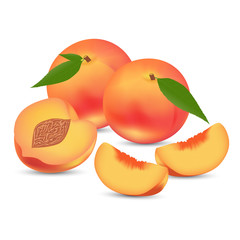 Vector illustration of a whole peach and slices on a white background.