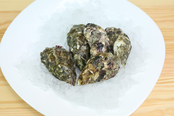  oysters in shells live lie on ice