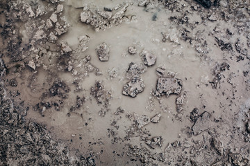 photo of a muddy puddle with pieces of ice. beautiful brown texture