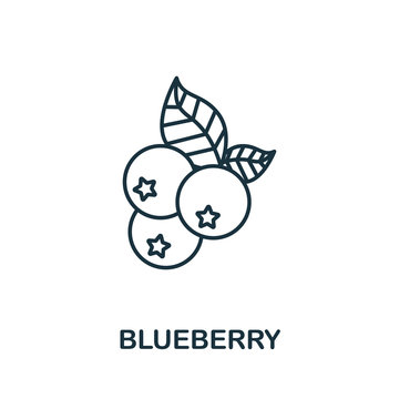 Blueberry icon from fruits collection. Simple line element Blueberry symbol for templates, web design and infographics