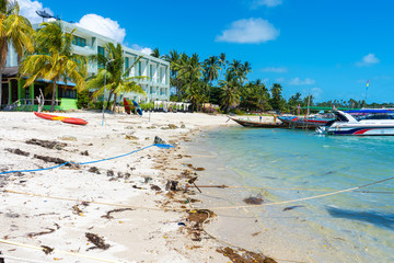 Obraz premium Tropical beach landscape. Perfect white sand, green palm trees and blue water. Travel and relaxation in the tropics