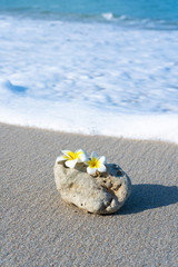 A small stone of an interesting smooth form is washed by waves on the beach. Calm and relaxation by the sea concept