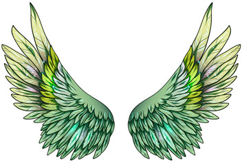 Beautiful glowing tropical green angel  wings, vector