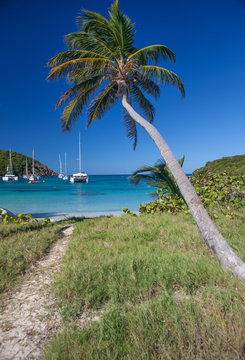 Catamarans and boats in Salt Whistle Bay on Mayreau tropical Island. Sailing Caribbean travel concept 
