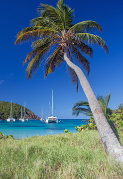 Catamarans and boats in Salt Whistle Bay on Mayreau tropical Island. Sailing Caribbean travel concept 