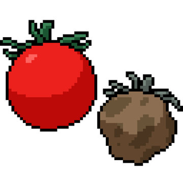 vector pixel art isolated tomato fresh rot