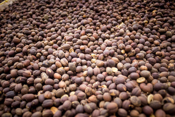 background of coffee beans