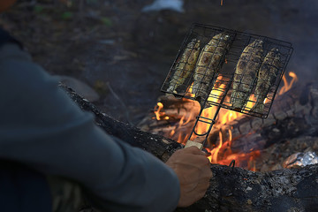trout grill on charcoal / fried fish trout on coals, trek food