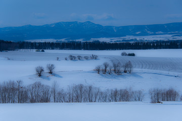 春先の美瑛の風景