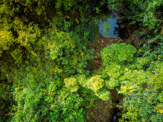 Aerial view of small creek in tropical forest