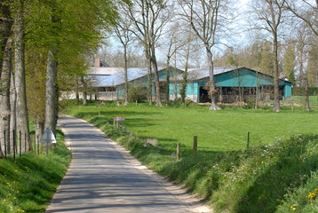 Route de campagne bordée de prairies avec corps de ferme
