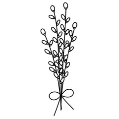 Three pussy willow twigs in doodle style. Great for Easter greeting cards, logo. Hand drawn vector illustration in black ink. Isolated outline.