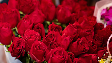 large bouquet from variety of vibrant red roses.