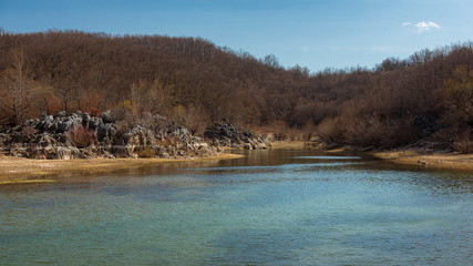a lake with trees on the shore