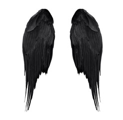 two real black angel wings with big feathers isolated on white background