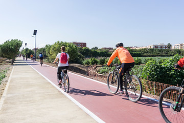 Meliana, Spain, 3,7,2015:cyclists down the bike path in the middle of the orchards