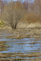 field flooded with water during the spring flood of rivers