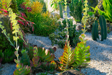 Tropical garden in Orlando Florida USA	