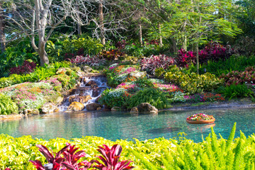 Tropical garden in Orlando Florida USA	