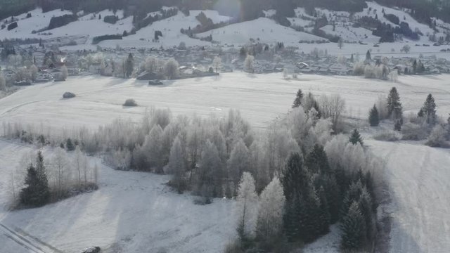 Aerial view of the small cozy german town at the mountain bottom at sunrise in a winter season, Halblech city, Germany, Bavaria, Branches of trees are covered with hoarfrost, sunny weather