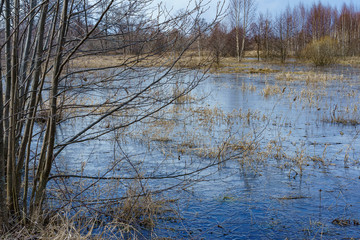 field flooded with water during the spring flood of rivers