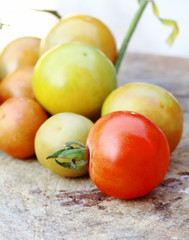 small fresh cherry tomatoes with green vines