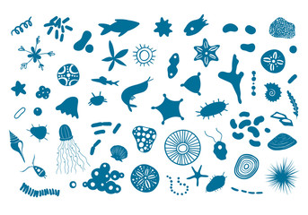 Vector illustration with microscopic marine creatures. Oceanic krill under microscope. Small fish, corals, shells, microorganisms isolated on white.  Sea plankton, detailed vector EPS 10 illustration.
