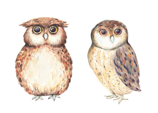 Watercolor cute boho owls. Watercolor owl. Watercolor forest baby animal print. 