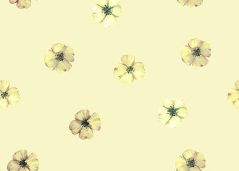 Watercolor hand drawn seamless pattern with flowers. Boho stile. Flowers print. 
