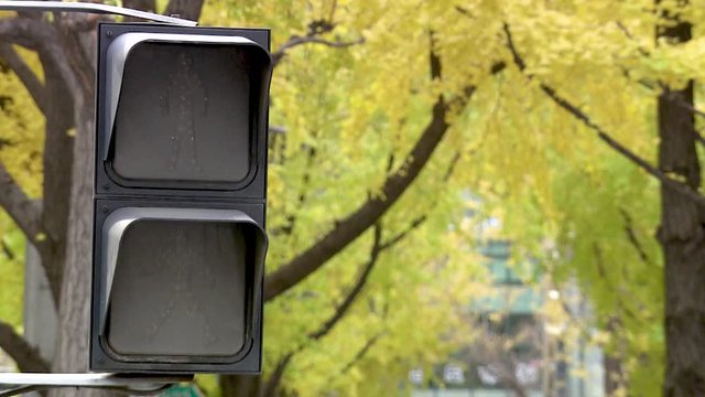 Pedestian traffic light red green light