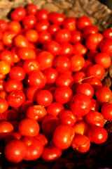 Santorini cherry tomatoes